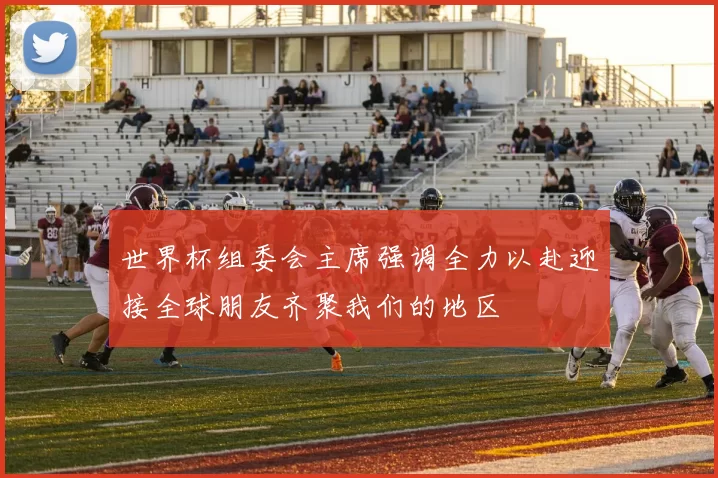 世界杯组委会主席强调全力以赴迎接全球朋友齐聚我们的地区
