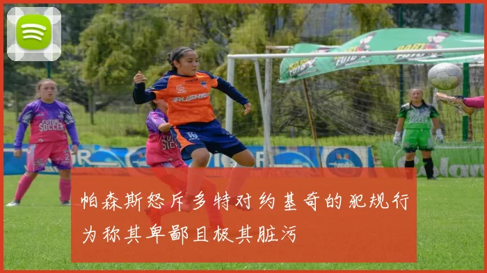 帕森斯怒斥多特对约基奇的犯规行为称其卑鄙且极其脏污