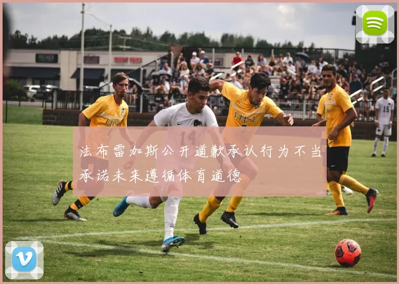 法布雷加斯公开道歉承认行为不当承诺未来遵循体育道德